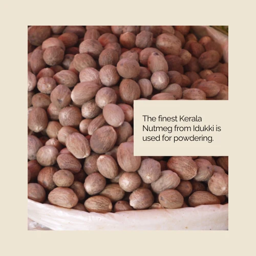 Vedic Flavors Nutmeg Powder 60g - Image 2