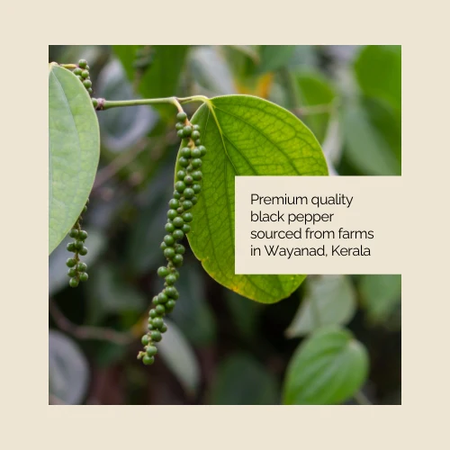 Vedic Flavors Black Pepper Powder 60g - Image 2